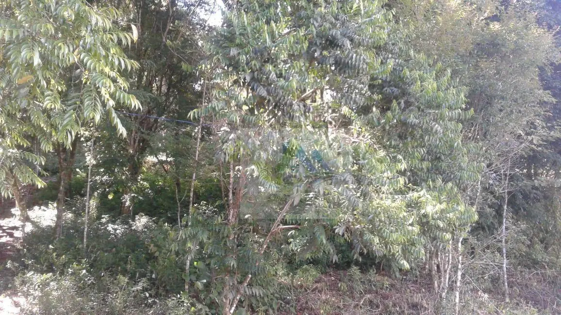 Terreno / Lote à venda, 7200m2 em Mandirituba - PR - imagem 6 Foto 6 de Terreno / Lote à venda, 7200m2 em Mandirituba - PR