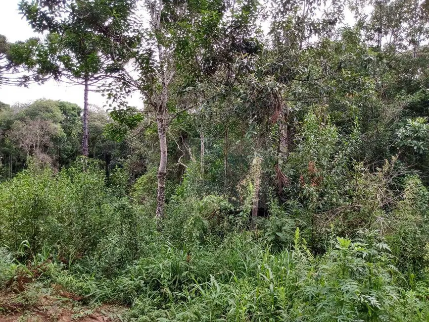 Terreno / Lote à venda, 11000m2 em Mandirituba - PR - imagem 4 Foto 4 de Terreno / Lote à venda, 11000m2 em Mandirituba - PR
