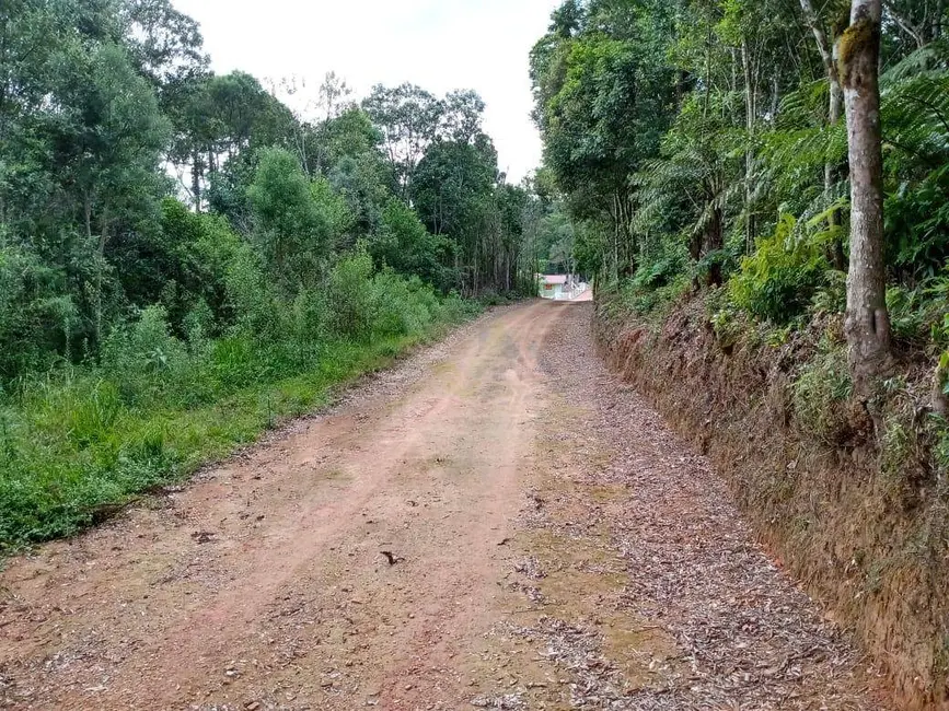 Terreno / Lote à venda, 11000m2 em Mandirituba - PR - imagem 6 Foto 6 de Terreno / Lote à venda, 11000m2 em Mandirituba - PR