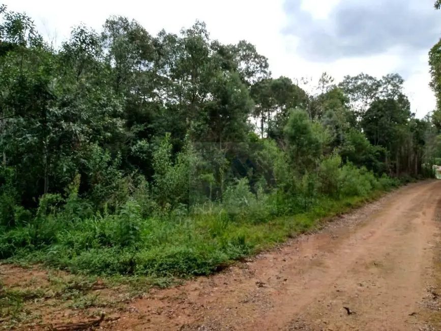 Terreno / Lote à venda, 11000m2 em Mandirituba - PR - imagem 5 Foto 5 de Terreno / Lote à venda, 11000m2 em Mandirituba - PR