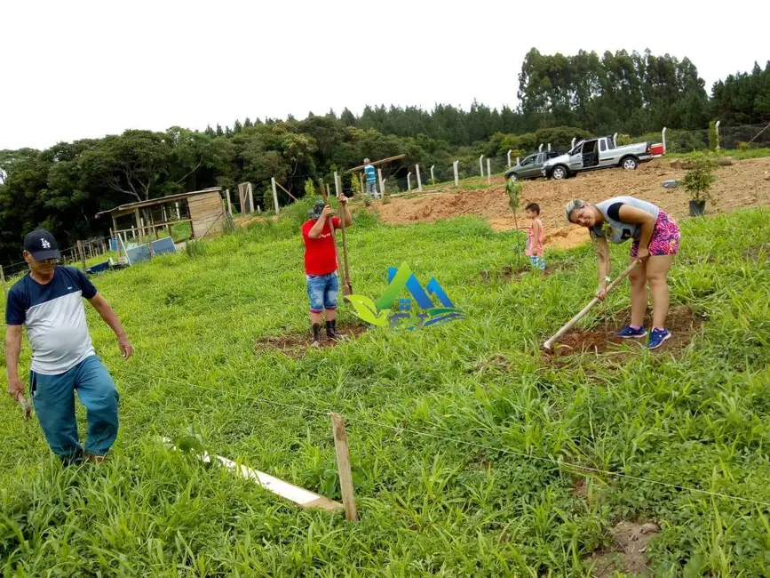 Chácara com 3 quartos à venda, 4000m2 em Mandirituba - PR - imagem 7 Foto 7 de Chácara com 3 quartos à venda, 4000m2 em Mandirituba - PR
