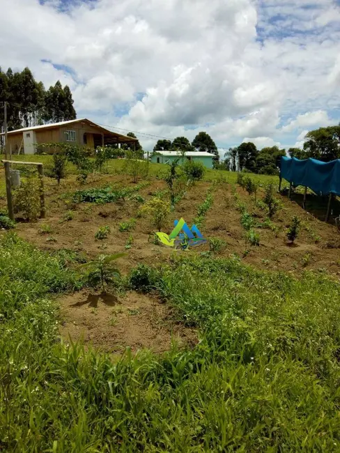 Chácara com 3 quartos à venda, 4000m2 em Mandirituba - PR - imagem 3 Foto 3 de Chácara com 3 quartos à venda, 4000m2 em Mandirituba - PR