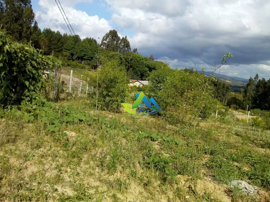 Chácara com 3 quartos à venda, 4000m2 em Mandirituba - PR - imagem 5 Foto 5 de Chácara com 3 quartos à venda, 4000m2 em Mandirituba - PR