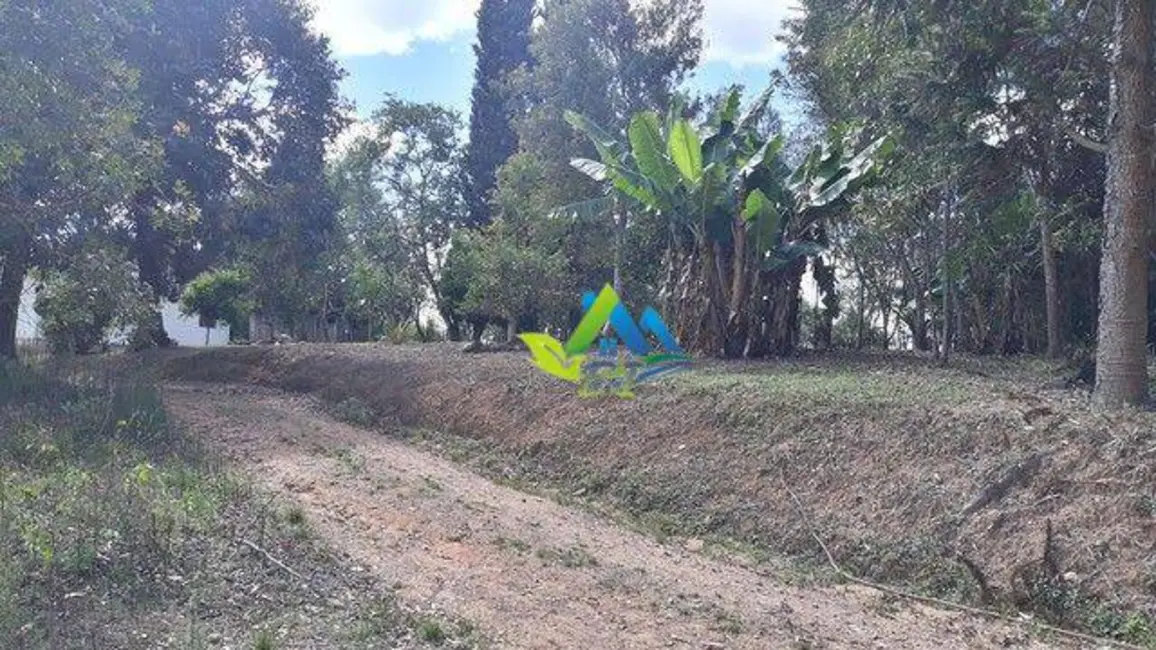 Chácara com 2 quartos à venda, 4200m2 em Mandirituba - PR - imagem 9 Foto 9 de Chácara com 2 quartos à venda, 4200m2 em Mandirituba - PR