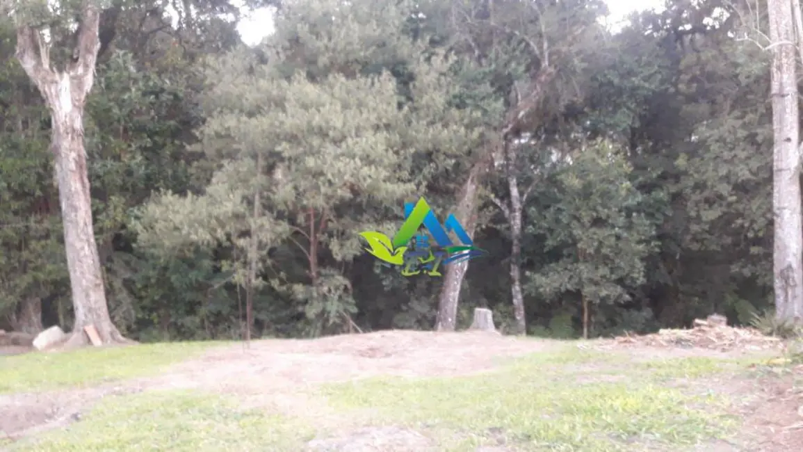 Foto 9 de Chácara com 3 quartos à venda, 2700m2 em Leão, Agudos Do Sul - PR