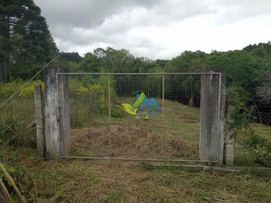 Foto 2 de Chácara com 3 quartos à venda, 1755m2 em Mandirituba - PR