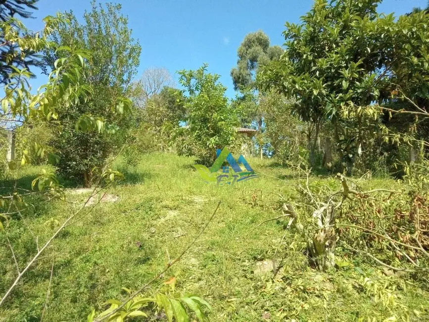 Foto 3 de Chácara com 2 quartos à venda, 3600m2 em Agudos Do Sul - PR