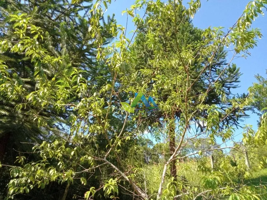 Foto 7 de Chácara com 2 quartos à venda, 3600m2 em Agudos Do Sul - PR