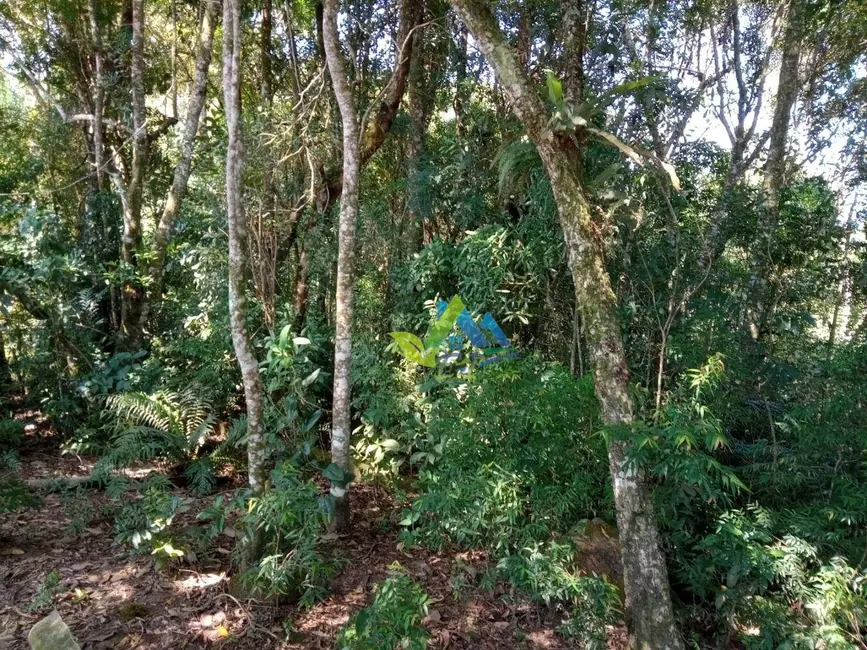 Foto 5 de Chácara com 2 quartos à venda, 3600m2 em Agudos Do Sul - PR