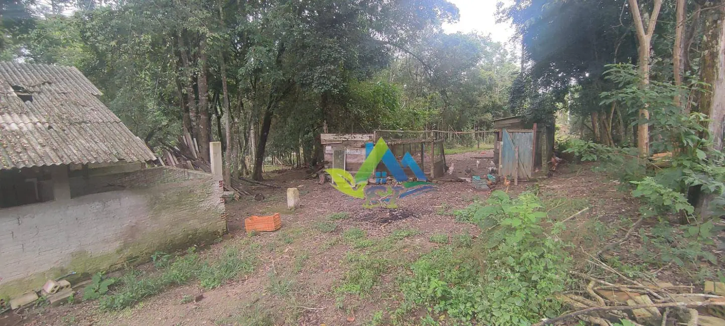 Chácara com 4 quartos à venda, 6208m2 em Mandirituba - PR - imagem 6 Foto 6 de Chácara com 4 quartos à venda, 6208m2 em Mandirituba - PR