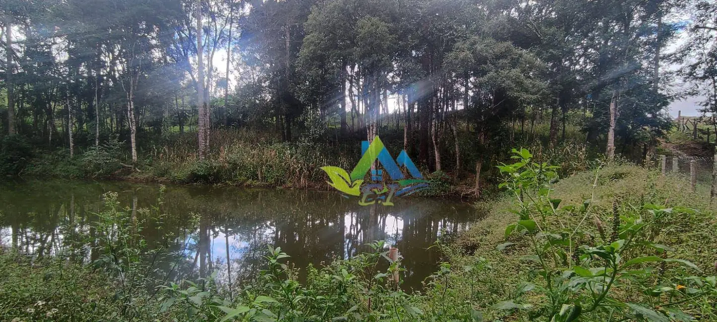 Foto 2 de Chácara com 4 quartos à venda, 6208m2 em Mandirituba - PR