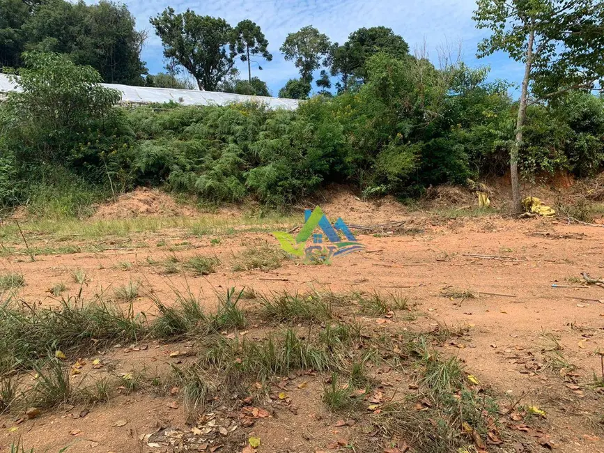 Terreno / Lote à venda, 3000m2 em Mandirituba - PR - imagem 8 Foto 8 de Terreno / Lote à venda, 3000m2 em Mandirituba - PR