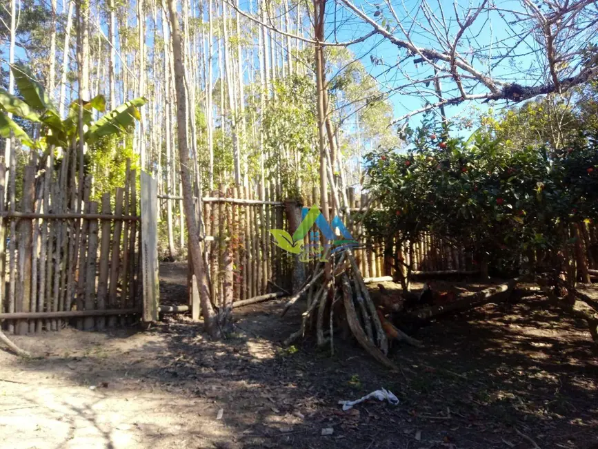 Chácara com 4 quartos à venda, 60000m2 em Jardim Paulista, Campina Grande Do Sul - PR - imagem 3 Foto 3 de Chácara com 4 quartos à venda, 60000m2 em Jardim Paulista, Campina Grande Do Sul - PR