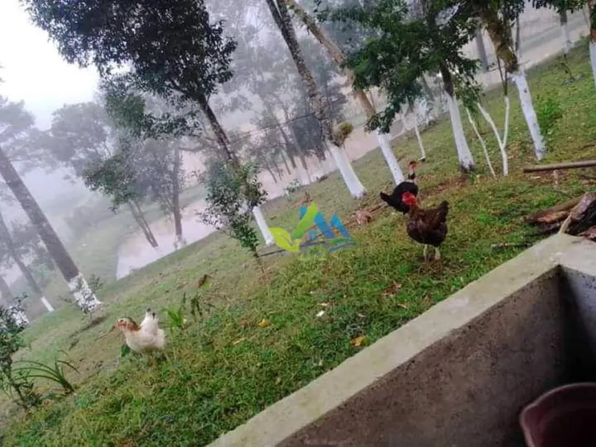 Foto 2 de Chácara com 3 quartos à venda, 5400m2 em Quitandinha - PR
