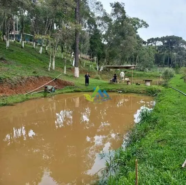 Foto 6 de Chácara com 3 quartos à venda, 5400m2 em Quitandinha - PR