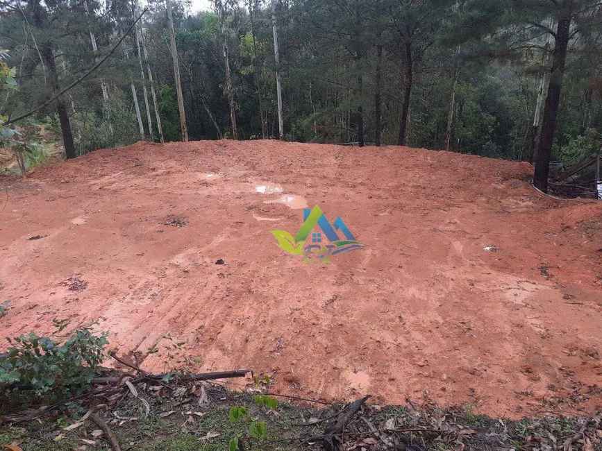 Terreno / Lote à venda, 7200m2 em Mandirituba - PR - imagem 7 Foto 7 de Terreno / Lote à venda, 7200m2 em Mandirituba - PR