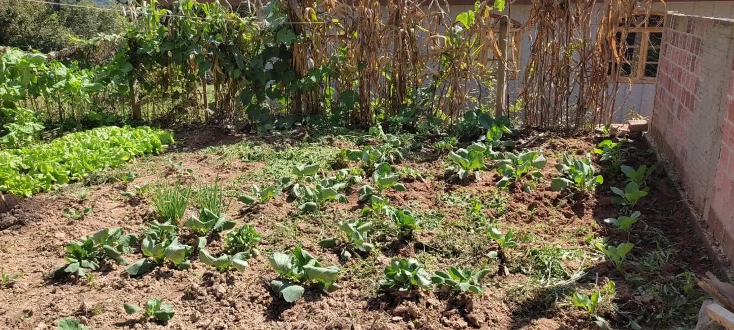 Foto 7 de Sobrado com 2 quartos à venda, 210m2 em Quitandinha - PR