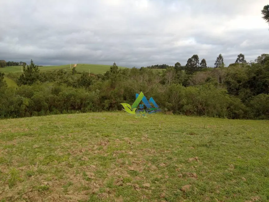 Terreno / Lote à venda, 7200m2 em Mandirituba - PR - imagem 9 Foto 9 de Terreno / Lote à venda, 7200m2 em Mandirituba - PR