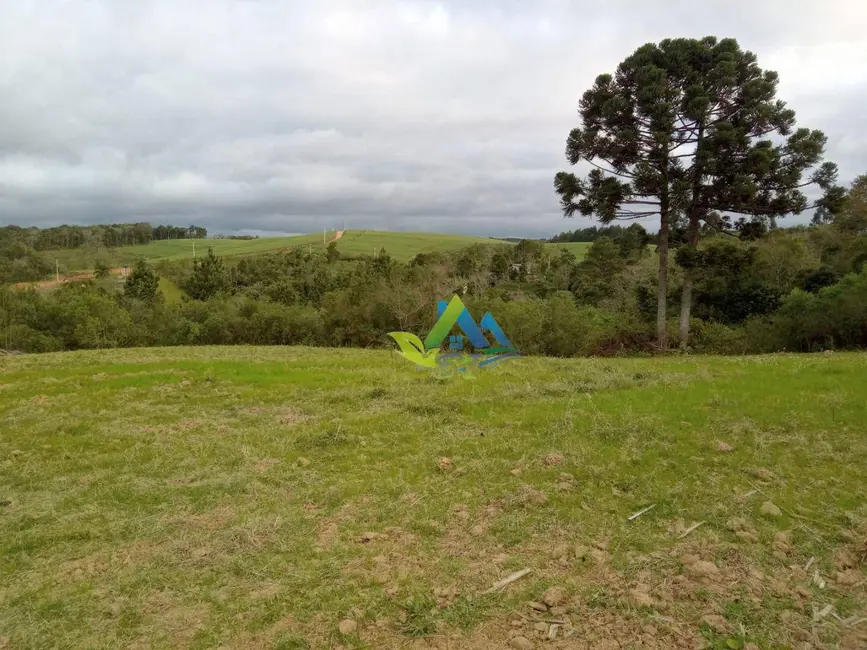 Terreno / Lote à venda, 7200m2 em Mandirituba - PR - imagem 7 Foto 7 de Terreno / Lote à venda, 7200m2 em Mandirituba - PR