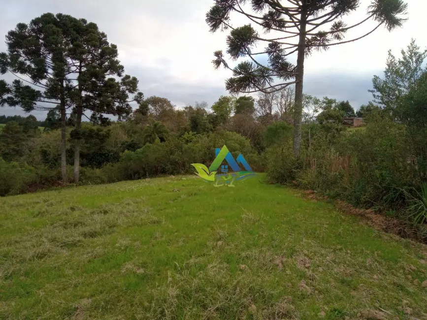 Terreno / Lote à venda, 7200m2 em Mandirituba - PR - imagem 6 Foto 6 de Terreno / Lote à venda, 7200m2 em Mandirituba - PR