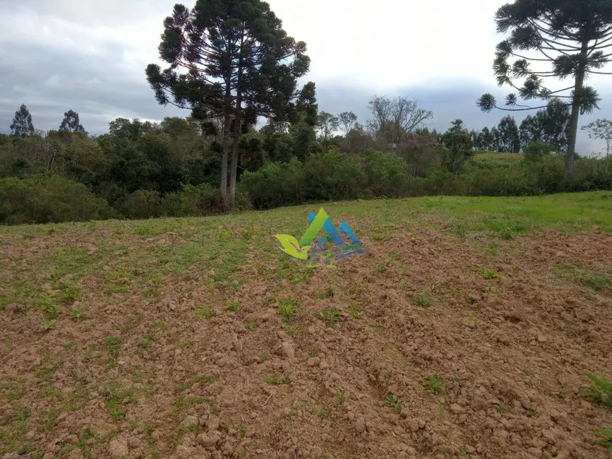 Terreno / Lote à venda, 7200m2 em Mandirituba - PR - imagem 4 Foto 4 de Terreno / Lote à venda, 7200m2 em Mandirituba - PR