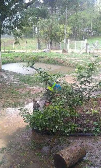 Chácara com 2 quartos à venda, 2600m2 em Mandirituba - PR - imagem 6 Foto 6 de Chácara com 2 quartos à venda, 2600m2 em Mandirituba - PR