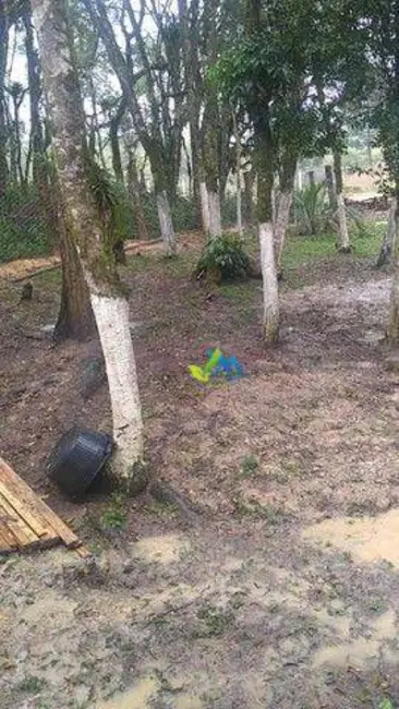 Chácara com 2 quartos à venda, 2600m2 em Mandirituba - PR - imagem 5 Foto 5 de Chácara com 2 quartos à venda, 2600m2 em Mandirituba - PR