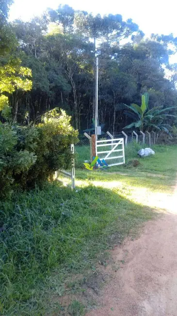Chácara com 2 quartos à venda, 2600m2 em Mandirituba - PR - imagem 3 Foto 3 de Chácara com 2 quartos à venda, 2600m2 em Mandirituba - PR