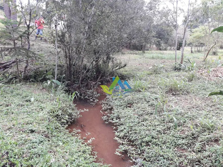 Foto 3 de Chácara com 2 quartos à venda, 6300m2 em Quitandinha - PR