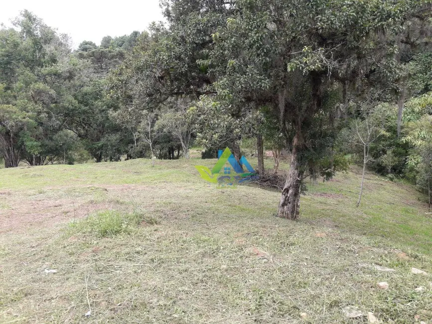Foto 4 de Chácara com 2 quartos à venda, 6300m2 em Quitandinha - PR