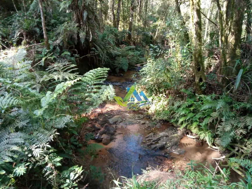 Chácara com 30 quartos à venda, 85000m2 em Mandirituba - PR - imagem 4 Foto 4 de Chácara com 30 quartos à venda, 85000m2 em Mandirituba - PR
