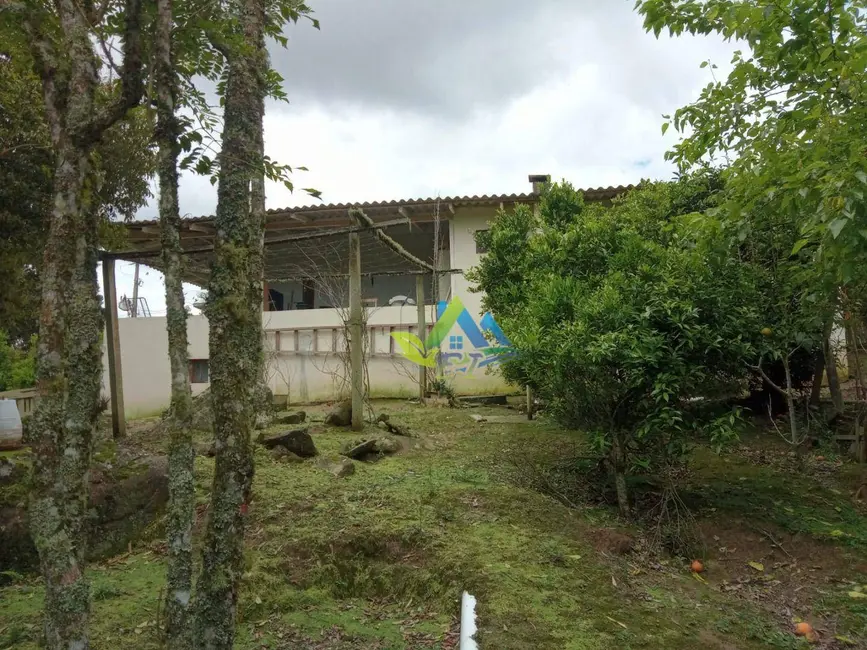 Chácara com 2 quartos à venda, 8697m2 em Mandirituba - PR - imagem 3 Foto 3 de Chácara com 2 quartos à venda, 8697m2 em Mandirituba - PR