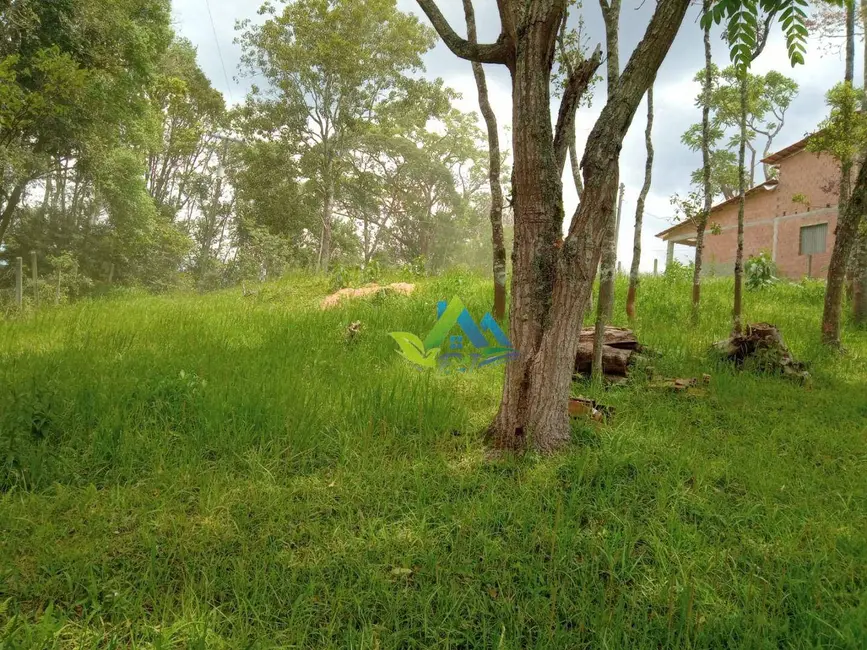 Chácara com 2 quartos à venda, 830m2 em Mandirituba - PR - imagem 8 Foto 8 de Chácara com 2 quartos à venda, 830m2 em Mandirituba - PR