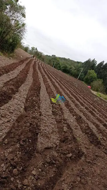 Foto 4 de Terreno / Lote à venda, 24200m2 em Quitandinha - PR