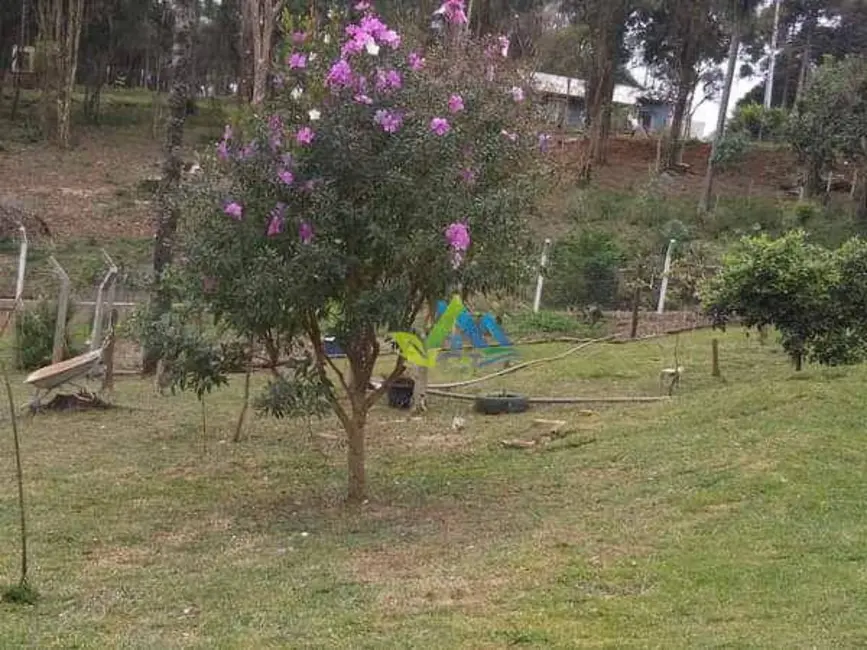 Foto 9 de Chácara com 3 quartos à venda, 3400m2 em Estados, Fazenda Rio Grande - PR