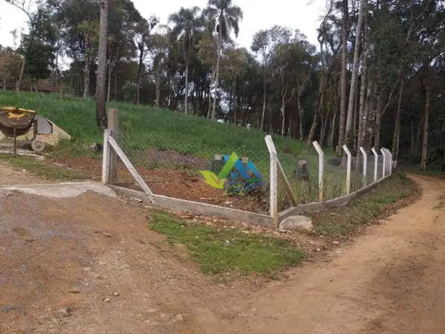 Foto 6 de Chácara com 3 quartos à venda, 3400m2 em Estados, Fazenda Rio Grande - PR