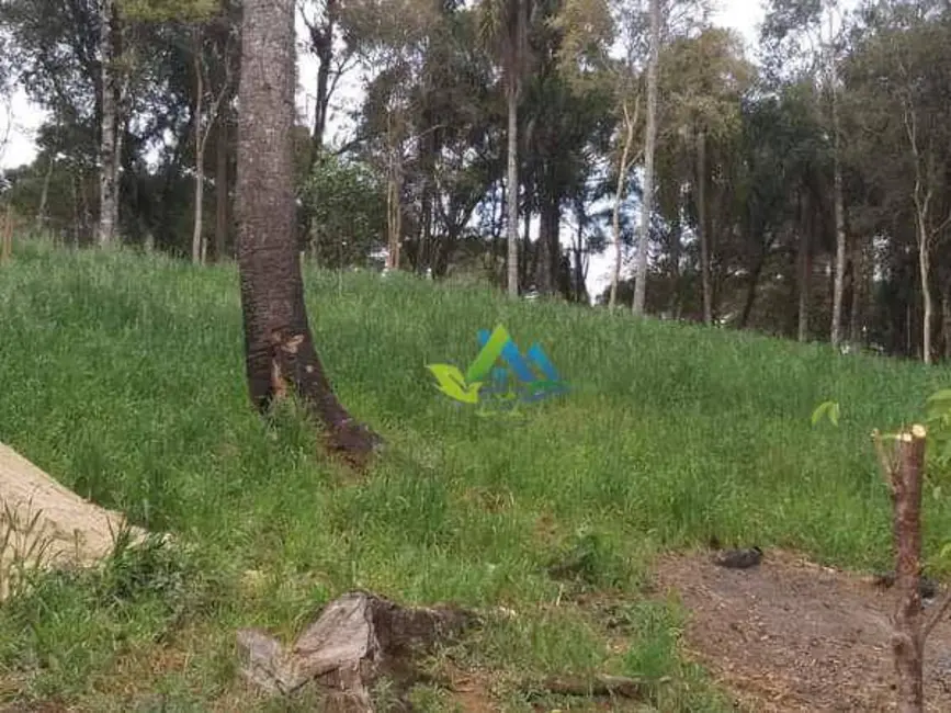 Foto 7 de Chácara com 3 quartos à venda, 3400m2 em Estados, Fazenda Rio Grande - PR