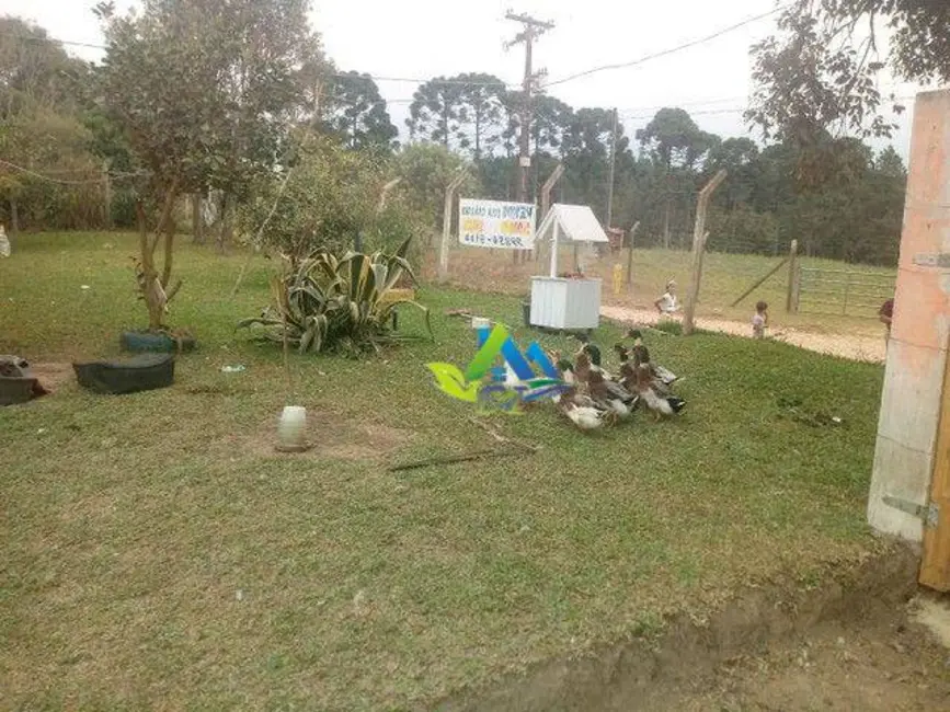 Foto 9 de Chácara com 4 quartos à venda, 5000m2 em Fazenda Rio Grande - PR