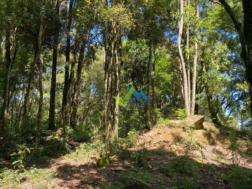 Chácara com 3 quartos à venda, 3300m2 em Mandirituba - PR - imagem 9 Foto 9 de Chácara com 3 quartos à venda, 3300m2 em Mandirituba - PR
