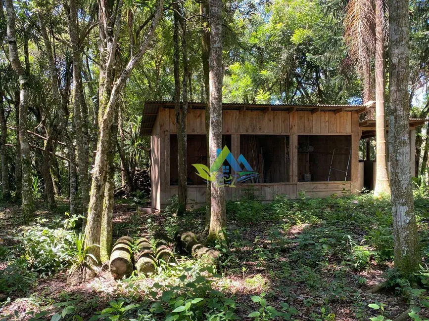 Chácara com 3 quartos à venda, 3300m2 em Mandirituba - PR - imagem 7 Foto 7 de Chácara com 3 quartos à venda, 3300m2 em Mandirituba - PR
