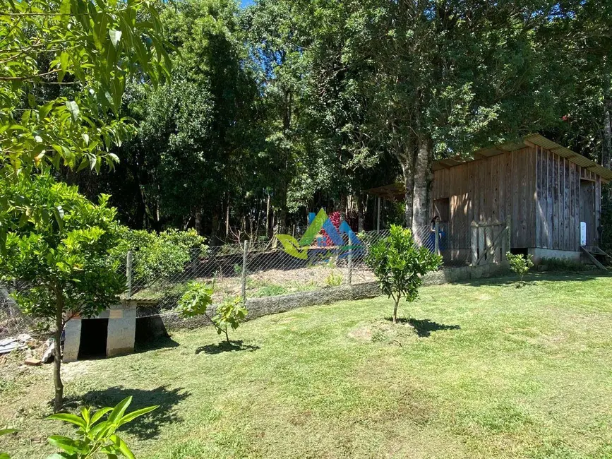Chácara com 3 quartos à venda, 3300m2 em Mandirituba - PR - imagem 5 Foto 5 de Chácara com 3 quartos à venda, 3300m2 em Mandirituba - PR