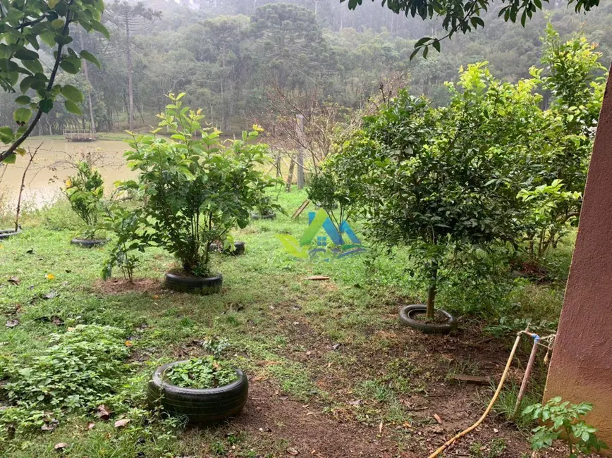 Foto 47 de Chácara à venda, 31464m2 em Mandirituba - PR