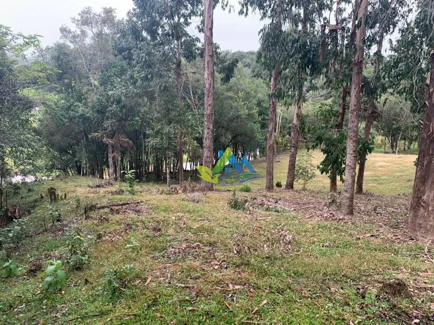 Foto 20 de Chácara à venda, 31464m2 em Mandirituba - PR