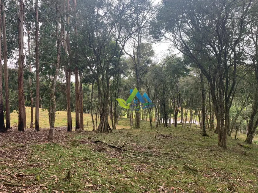 Foto 41 de Chácara à venda, 31464m2 em Mandirituba - PR