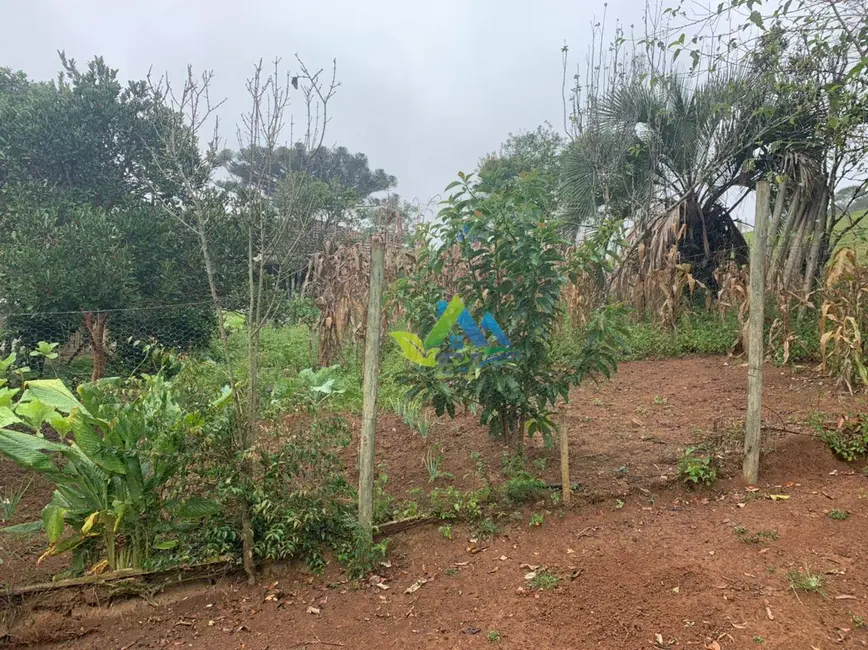 Foto 14 de Chácara à venda, 31464m2 em Mandirituba - PR