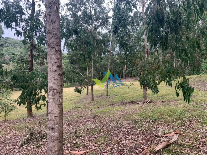 Foto 27 de Chácara à venda, 31464m2 em Mandirituba - PR