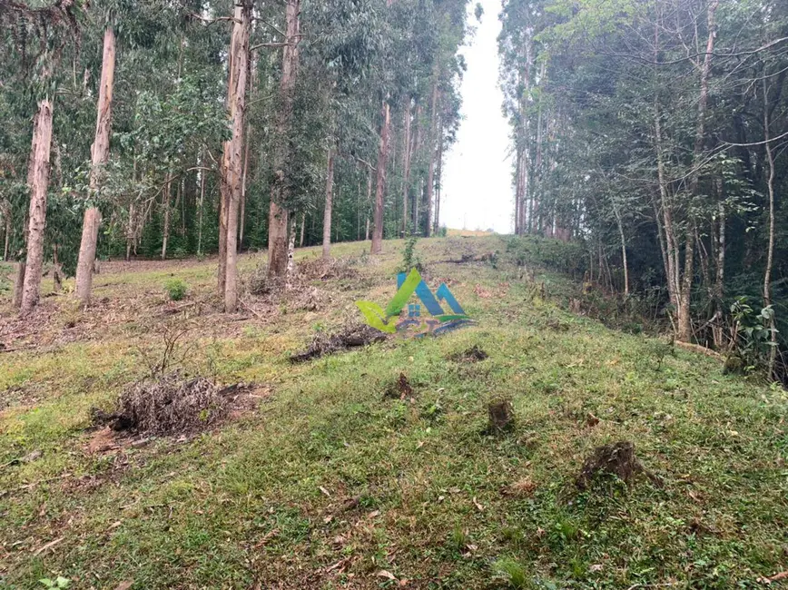 Foto 26 de Chácara à venda, 31464m2 em Mandirituba - PR