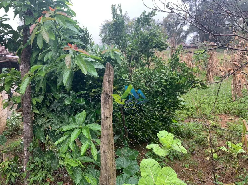 Foto 48 de Chácara à venda, 31464m2 em Mandirituba - PR