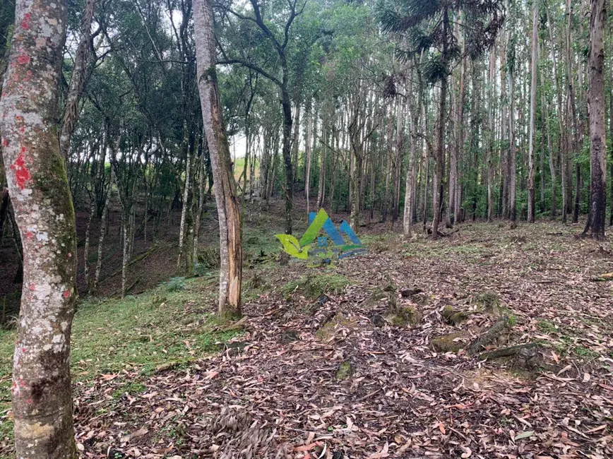 Foto 19 de Chácara à venda, 31464m2 em Mandirituba - PR