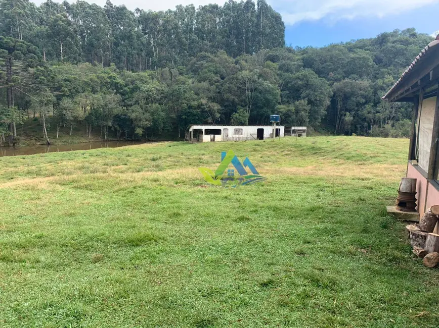 Chácara à venda, 31464m2 em Mandirituba - PR - imagem 8 Foto 8 de Chácara à venda, 31464m2 em Mandirituba - PR